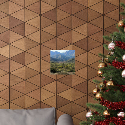 "Wild Mountains" Poster