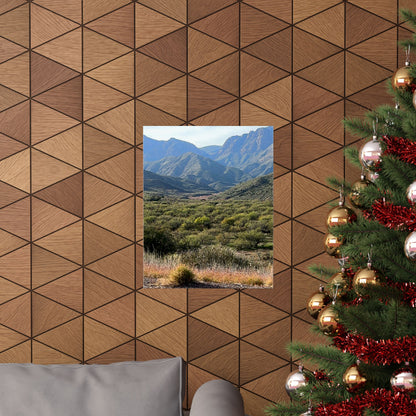 "Wild Mountains" Poster