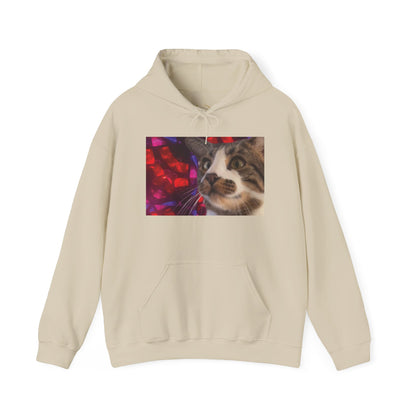 "Awakening" Hoodie