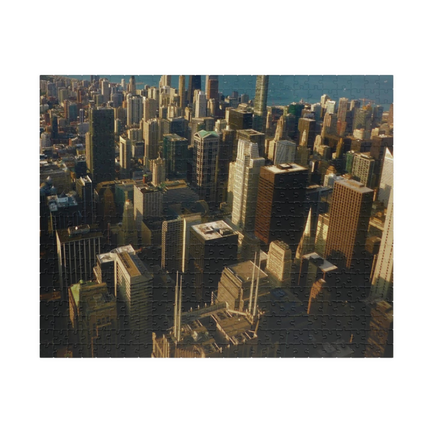 "Birds Eye" Puzzle (110, 252, 520, or 1014-piece)