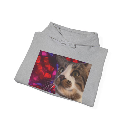 "Awakening" Hoodie