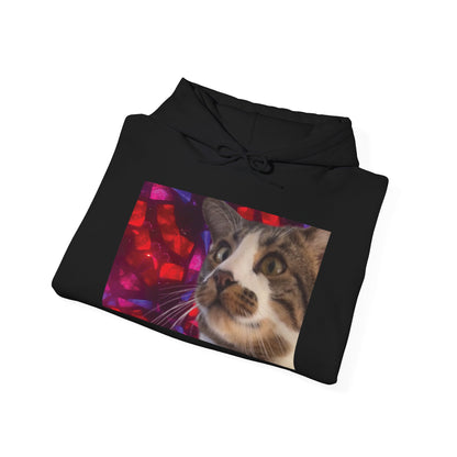 "Awakening" Hoodie