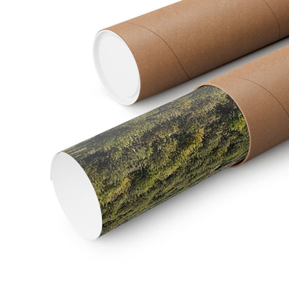 "Wild Mountains" Poster