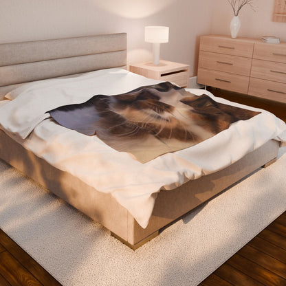 "Cat Nap" Velveteen Plush Blanket
