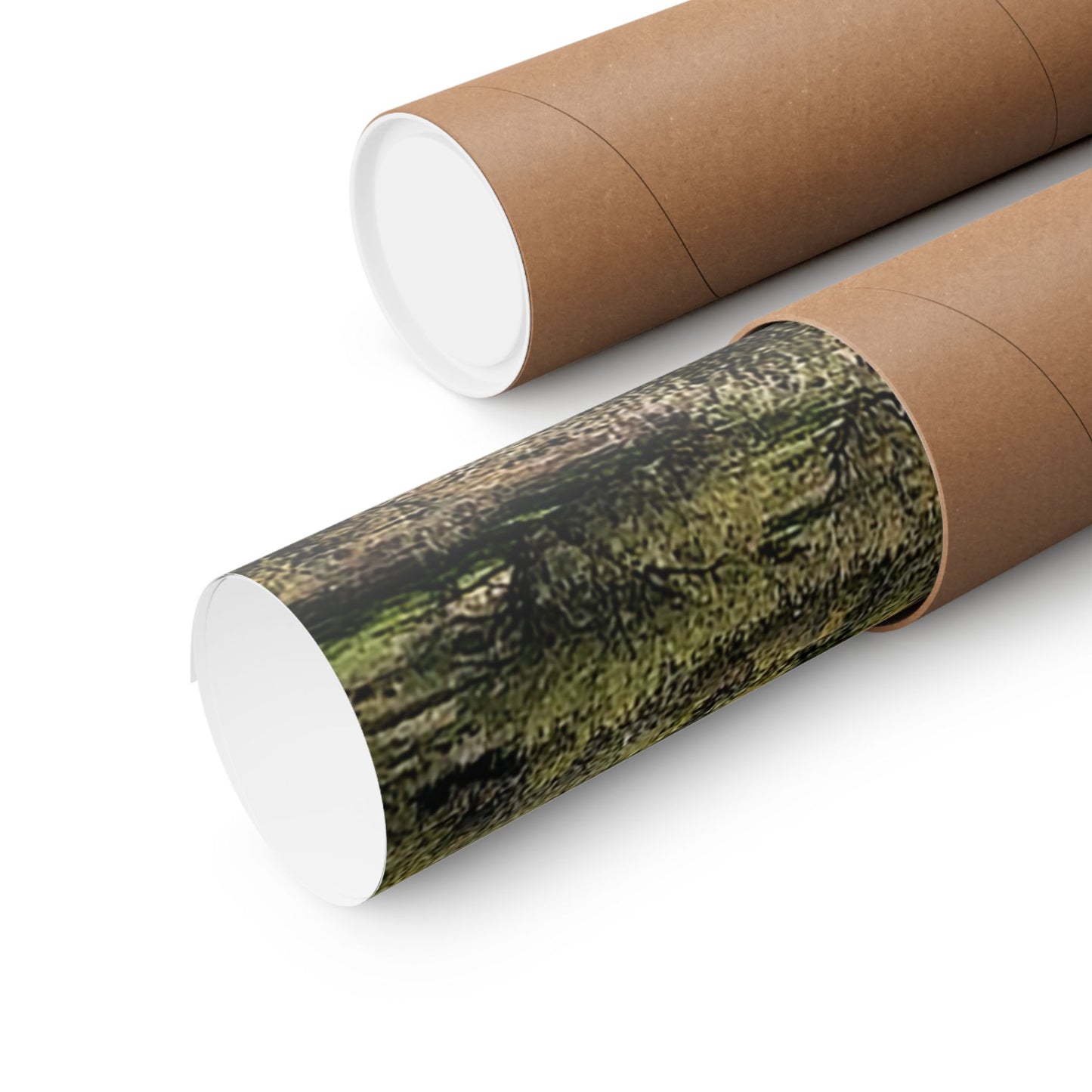 "Wild Mountains" Poster