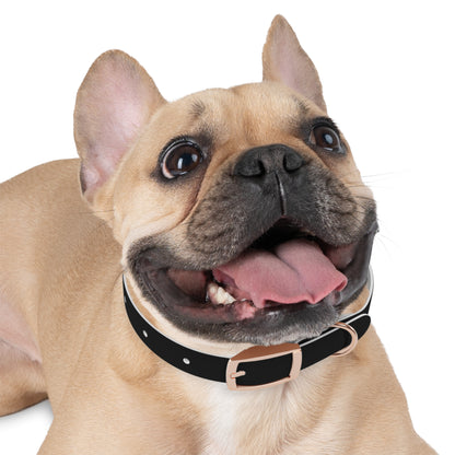 "Elegant Rogue" Dog Collar