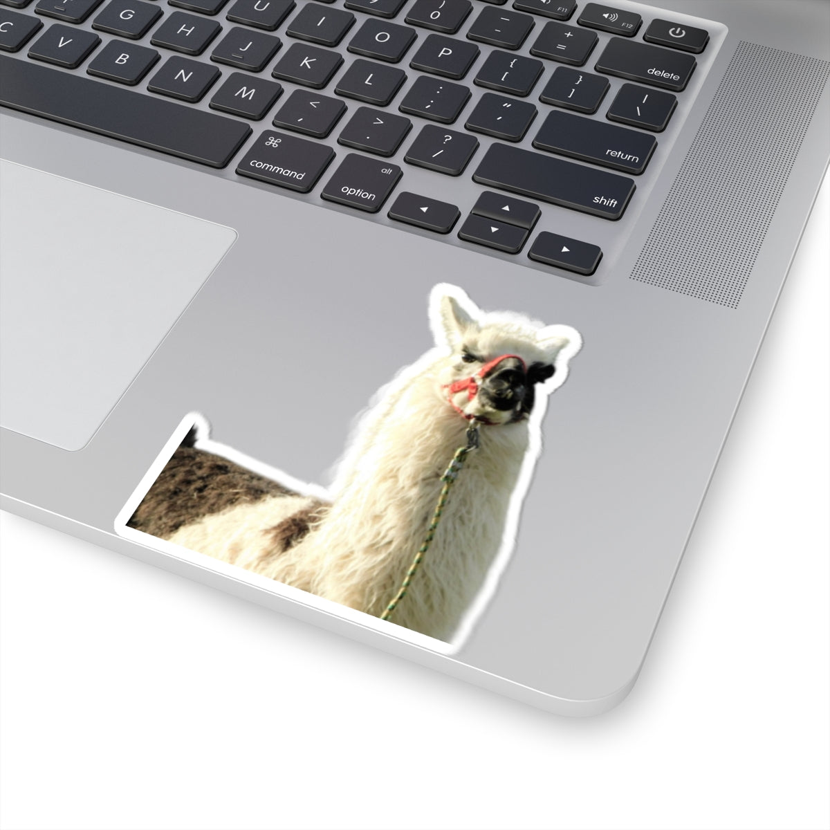 "No Drama Llama" Sticker