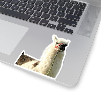 "No Drama Llama" Sticker