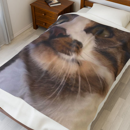 "Cat Nap" Velveteen Plush Blanket