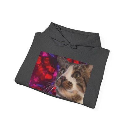 "Awakening" Hoodie
