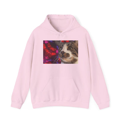 "Awakening" Hoodie