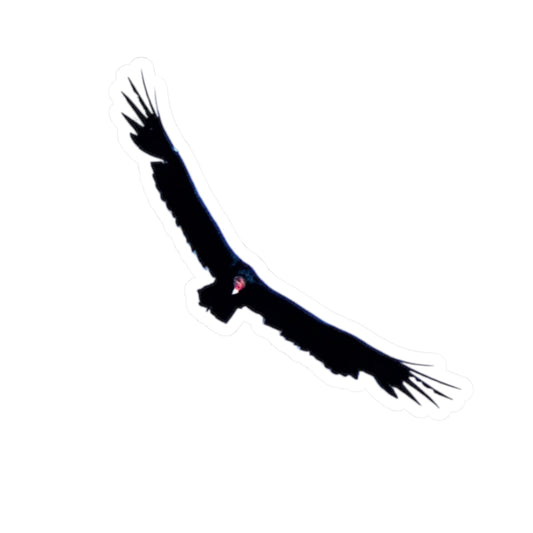 "Sky King" Sticker