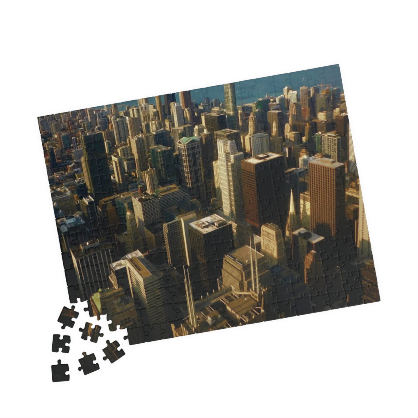 "Birds Eye" Puzzle (110, 252, 520, or 1014-piece)