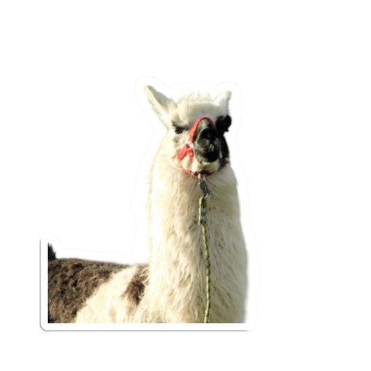 "No Drama Llama" Sticker
