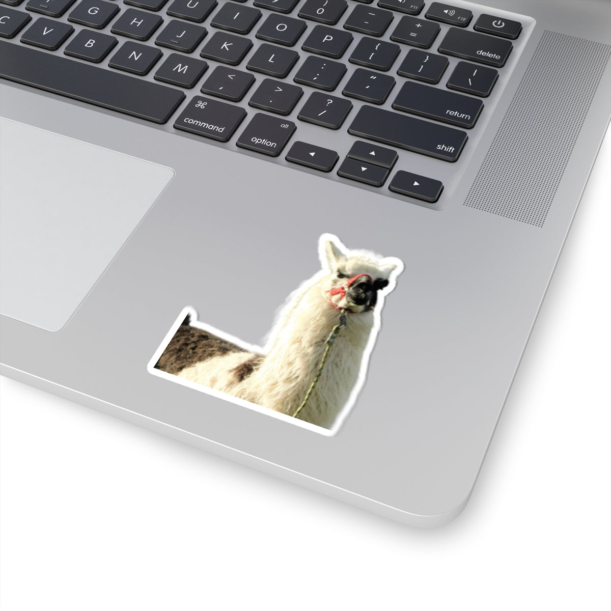 "No Drama Llama" Sticker