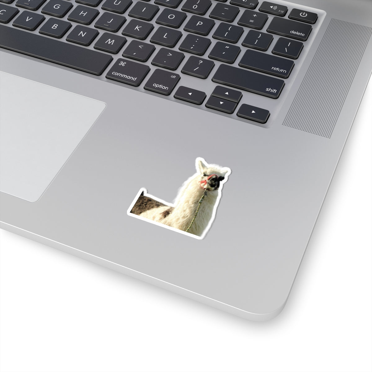 "No Drama Llama" Sticker