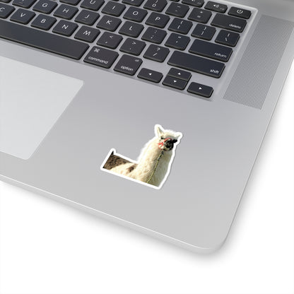 "No Drama Llama" Sticker