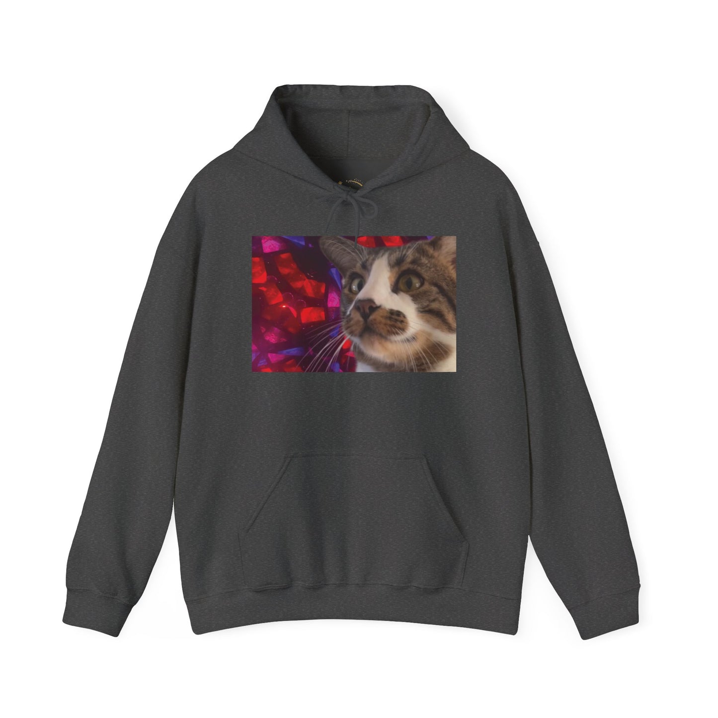 "Awakening" Hoodie