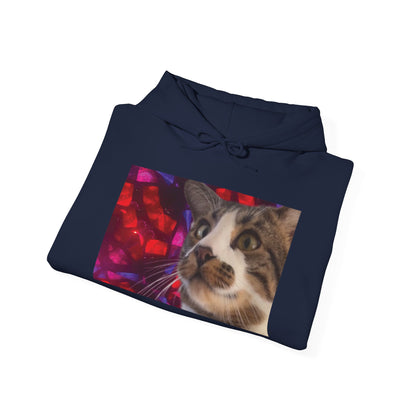 "Awakening" Hoodie