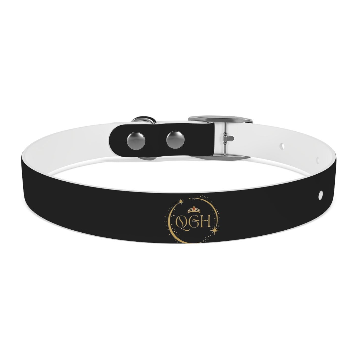 "Elegant Rogue" Dog Collar