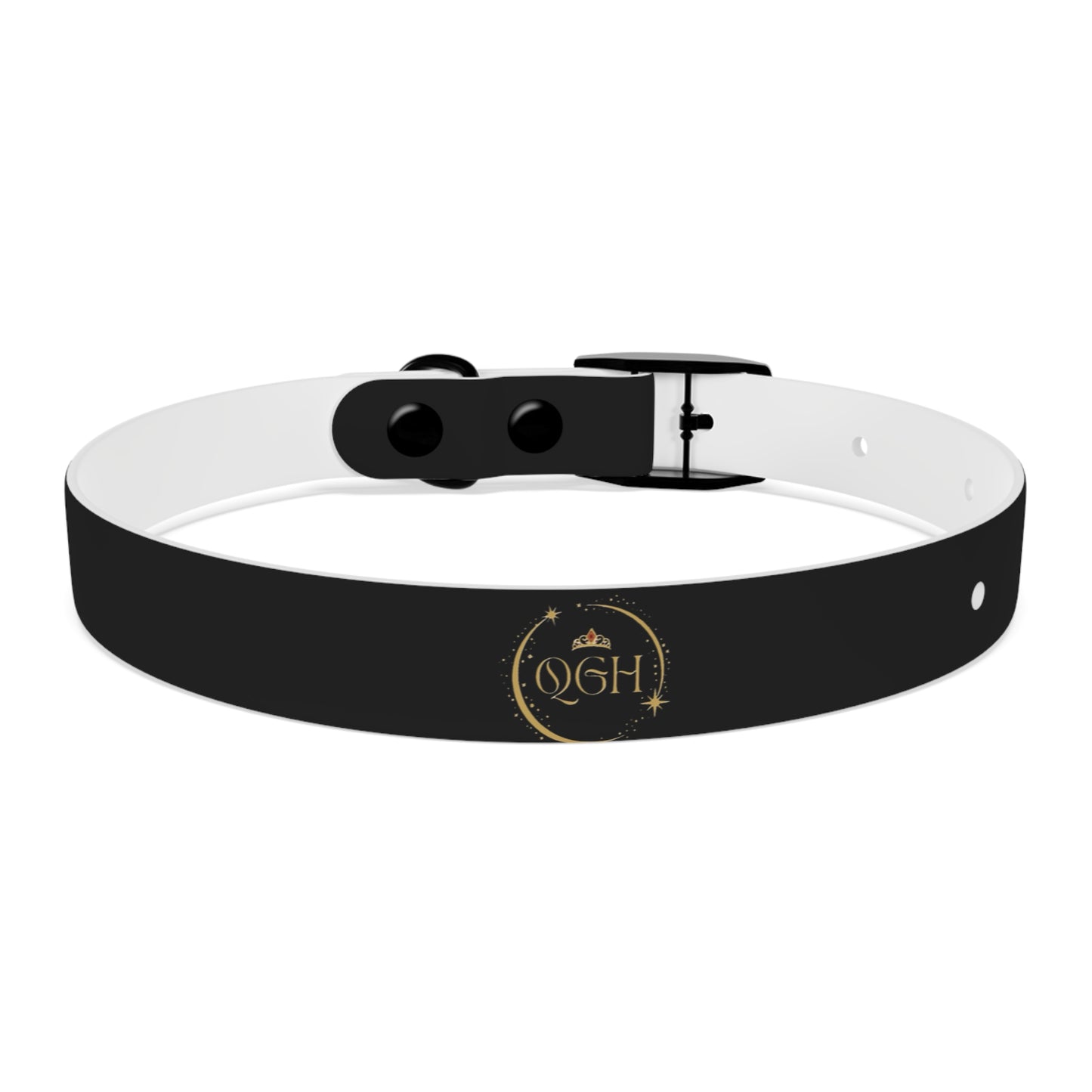 "Elegant Rogue" Dog Collar