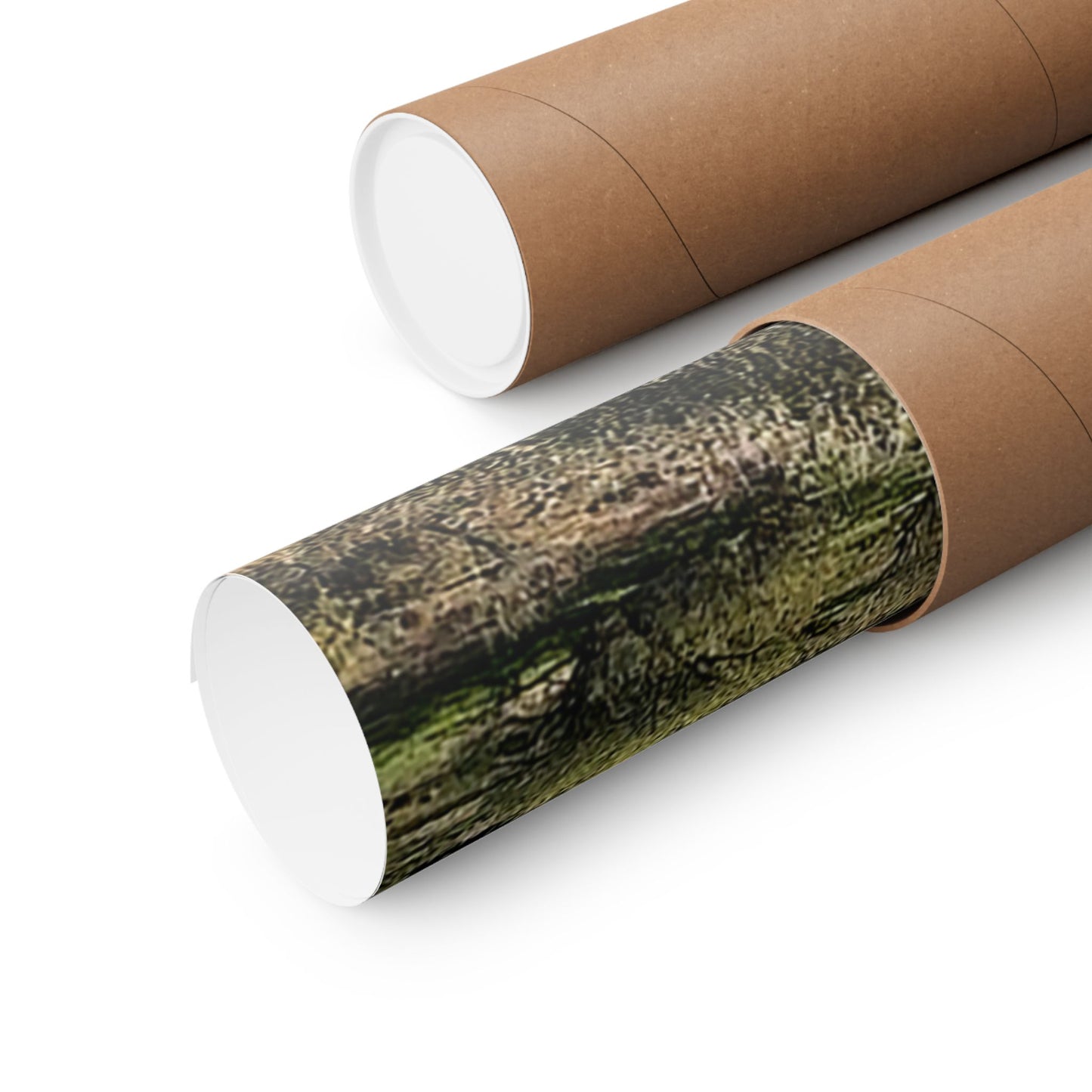 "Wild Mountains" Poster