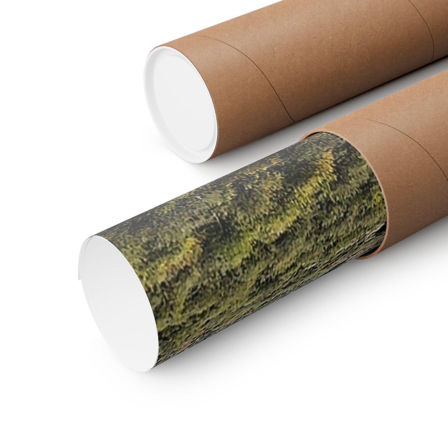 "Wild Mountains" Poster