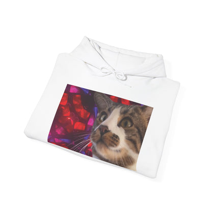 "Awakening" Hoodie